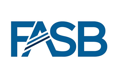 FASB Seeking Comments on Intangibles