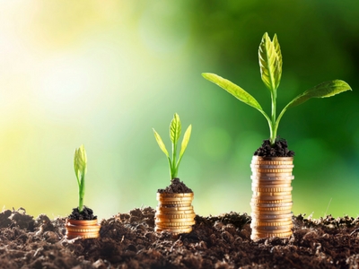 Looking to Grow Your Small Firm? Start with These Three Steps