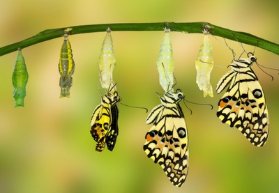 AI Opportunities and Use Cases in Audit Transformation
