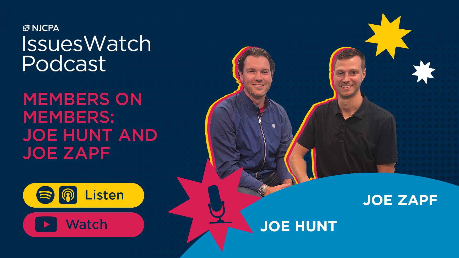 podcast image