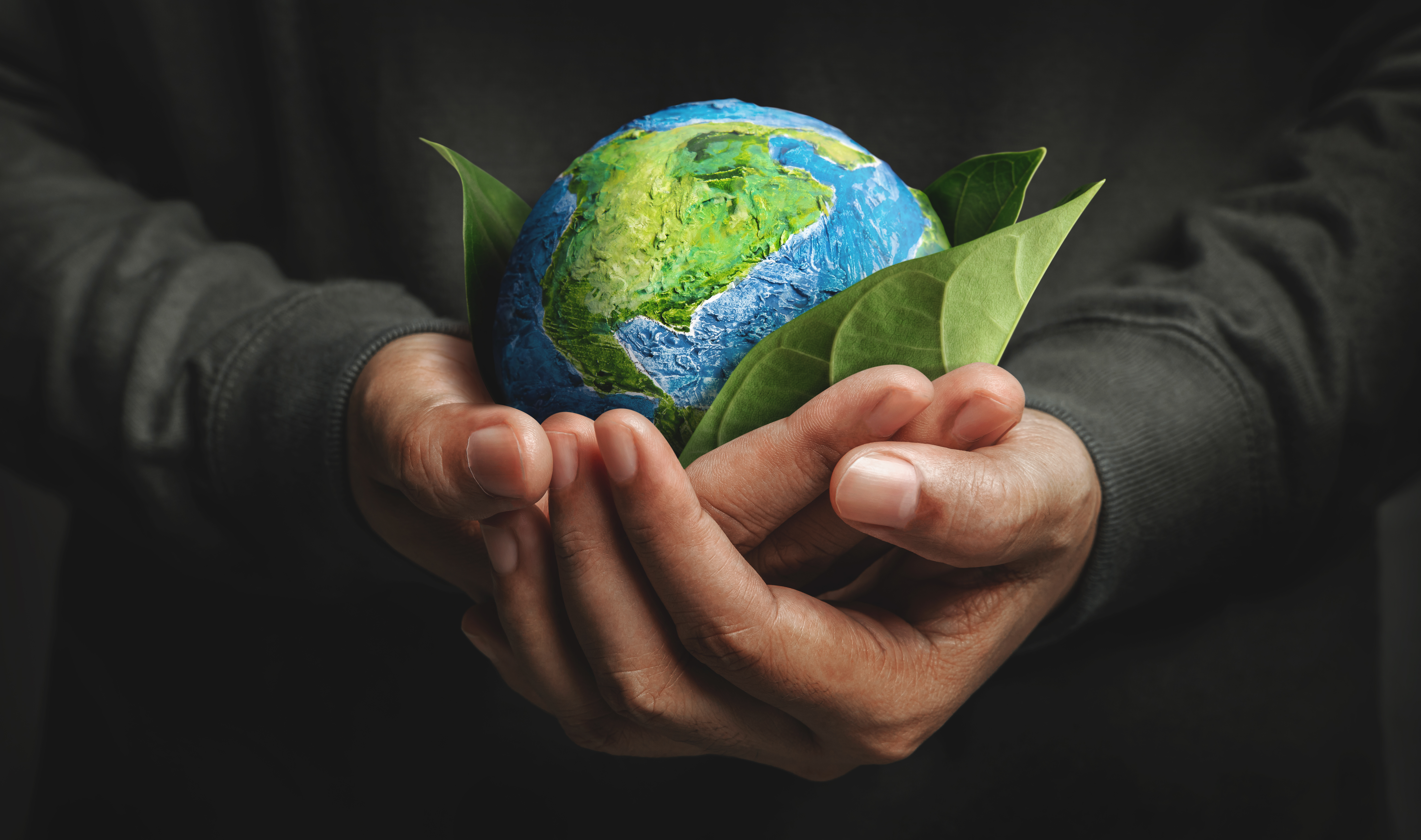 Sustainable Services: CPAs Positioned for Burst in Opportunities