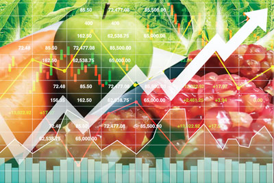 Business and Tax Opportunities for the Food and Beverage Industry 