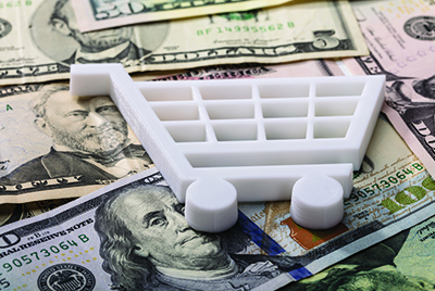 the wayfair decision