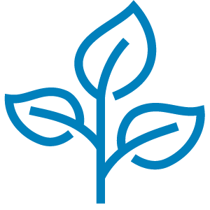 Icon_3_Leaf_Branch_SKY-04