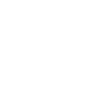 Icon_Branch_WHT-01