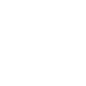 Icon_certificate_WHT-01