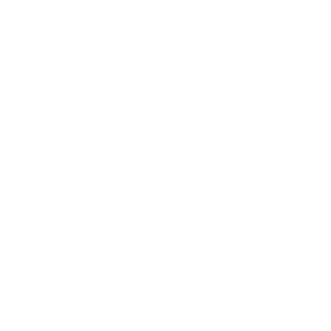 Icon_Check_X_mark_CAPTION_WHT-01