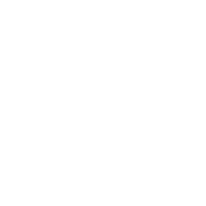 Icon_Globe_Magnify_WHT-01