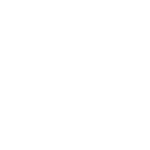 Icon_Laptop_Person_talking_WHT-01