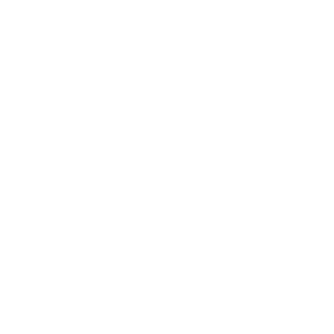 Icon_laptop_pie_charts_WHT-01