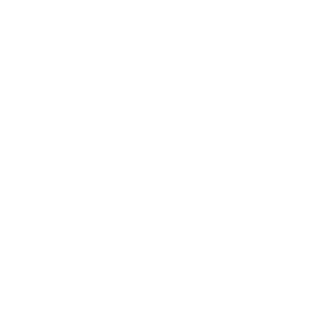 icon_man_presentation_wht-01