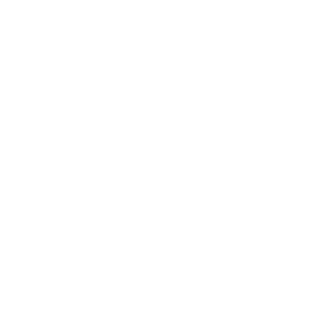 Icon_Page_Magnify_WHT-01