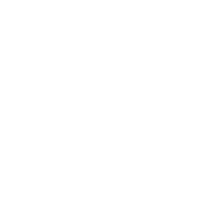 Icon_Person_Podium_speaking_to_Group_WHT-01