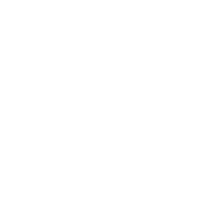 Icon_Speaker_Standing_WHT-01