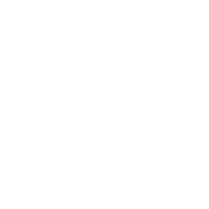 Icon_Stack_of_Money_WHT-01
