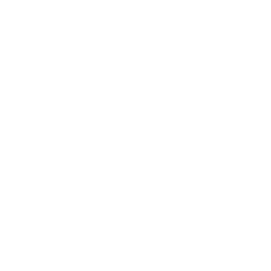Icon_target_WHT-01
