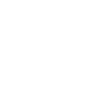 Icon_WebPage_check_x_mark_WHT-01